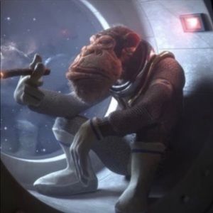 Meet your Posher, Dev